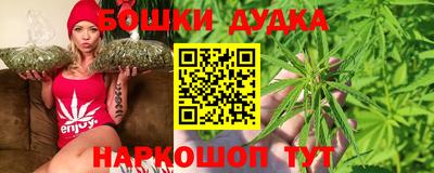 дживик Будённовск