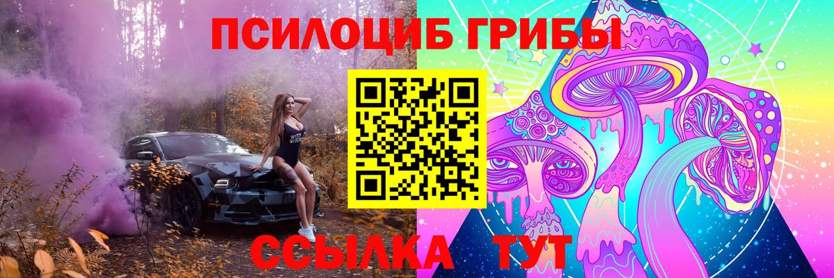 Советск  Галлюциногенные грибы Magic Shrooms  Псилоцибиновые грибы мицелий  Вход с VPN 