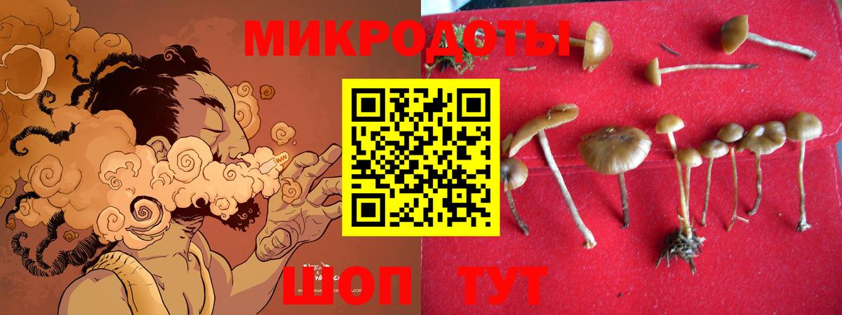 Галлюциногенные грибы MAGIC MUSHROOMS Советск